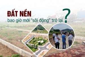 Thị trường đất nền sôi động trở lại