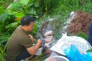 Hà Nam: Phát hiện 73kg mề gà, xúc xích lợn không rõ nguồn gốc
