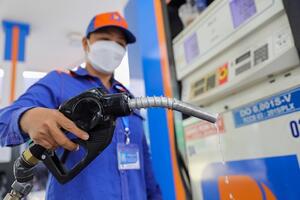 Hệ thống cơ sở dữ liệu xăng dầu: Ngăn chặn gian lận và hỗ trợ điều tiết cung cầu