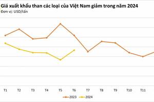 2 quý đầu năm, xuất khẩu than mang về cho Việt Nam 59 triệu USD