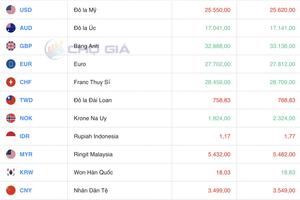 Tỷ giá USD hôm nay 18/7/2024: Đồng USD bất ngờ “rơi thẳng đứng” xuống dưới mức 104