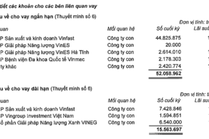Tỷ phú Phạm Nhật Vượng từng tuyên bố 'tất cả' cho VinFast, Vingroup đã đầu tư tổng cộng 2,6 tỷ USD vào hãng xe điện này, cho vay thêm hơn 2 tỷ USD