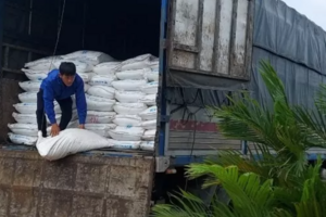 Bình Thuận: Đấu giá gần 33 tấn đường cát, giá khởi điểm hơn 700 triệu đồng