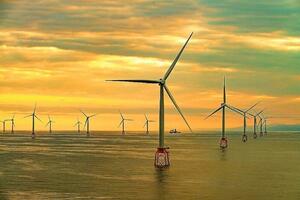 Đạt công suất 6.000 MW vào năm 2030, giá điện gió ngoài khơi thế nào?