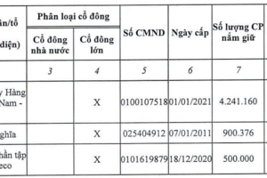 Sau DN dịch vụ hàng không siêu lợi nhuận ở Tân Sơn Nhất, Công ty của "vua hàng hiệu" Jonathan Hạnh Nguyễn tiếp tục trở thành cổ đông lớn của DN tương tự ở Nội Bài