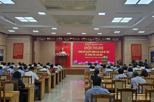 Thứ trưởng Bộ Khoa học và Công nghệ Nguyễn Hoàng Giang giữ chức Phó Bí thư Tỉnh ủy Quảng Ngãi