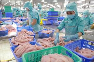 Top 3 thị trường tiêu thụ nhiều nhất cá tra giá trị gia tăng của Việt Nam