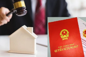 Tháng 8, Hà Nội tấp nập đấu giá đất các huyện ngoại thành