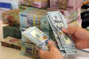 Tỷ giá USD hôm nay 12/8/2024: USD khó có thể tăng trong bối cảnh hiện tại?