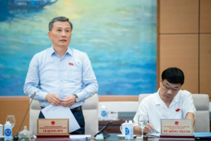 2 phương án về trách nhiệm lập quy hoạch khoáng sản