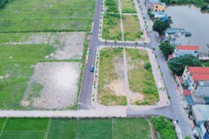 Đấu giá đất: Khi 'cò' thao túng