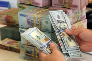 Tỷ giá USD hôm nay 19/8/2024: Chỉ số USD Index (DXY) đạt mức 102,40 điểm