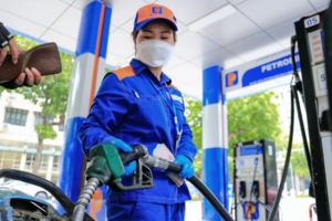 Giá xăng dầu hôm nay 20/8/2024: Giảm nhẹ