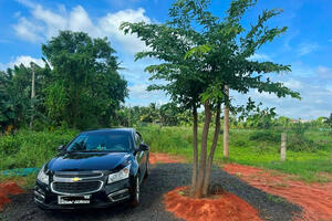 Đất nền phân lô phía Nam có “đổi chiều” vào cuối năm, đây là dự báo bất ngờ của chuyên gia trong ngành