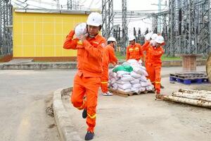 Đảm bảo an toàn hệ thống điện trước cơn bão số 3 (Yagi)