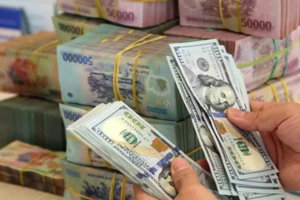 Tỷ giá USD hôm nay 13/9/2024: Đồng USD giảm do vàng đạt mức kỷ lục