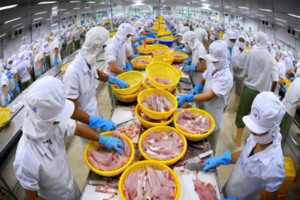 An Giang: Giữ nhịp tăng trưởng vốn tín dụng phục vụ phát triển kinh tế địa phương