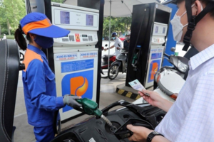 Giá xăng dầu hôm nay 19/9/2024: Đồng loạt giảm