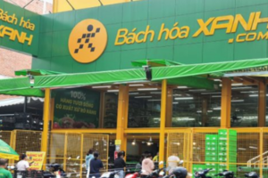 Tuyên bố đã tìm ra "long mạch", át chủ bài Bách Hóa Xanh của ông Nguyễn Đức Tài rục rịch khai trương thêm 10 cửa hàng ngay cuối tháng 9