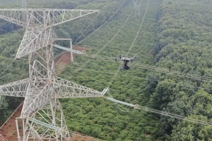 Quảng Nam thống nhất hướng tuyến đường dây 500kV Thạnh Mỹ - Rẽ Quảng Trạch - Dốc Sỏi