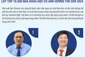 9 nhà khoa học Việt Nam lọt top 10.000 nhà khoa học có tầm ảnh hưởng toàn cầu năm 2024