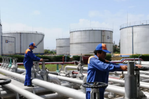 Giá xăng dầu hôm nay ngày 24/9/2024: Giá dầu thế giới lao dốc