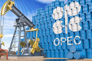 OPEC: 'Loại bỏ dầu mỏ là điều viển vông'