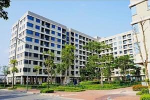Giá nhà ở xã hội đắt ngang nhà thương mại, người nghèo choáng váng