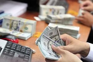 Giá ngoại tệ ngày 8/10/2024: Tỷ giá USD trong nước tăng nhẹ