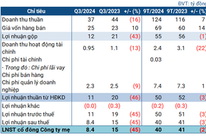 Thủy điện Nậm Mu giảm lãi 45% dù thủy văn quý 3 thuận lợi, nguyên nhân do đâu?