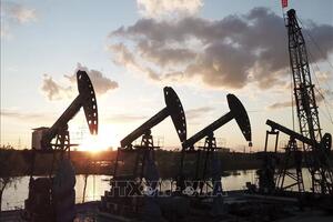 Giá dầu giảm do dự trữ dầu của Mỹ tăng vượt dự kiến