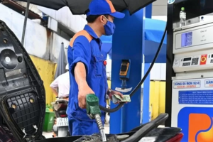 Giá xăng dầu dự báo tiếp tục giảm lần thứ ba liên tiếp vào kỳ điều hành ngày mai 31/10/2024