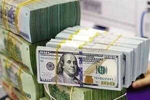 Giá ngoại tệ ngày 31/10/2024: USD giảm mạnh sau thông tin mới tại Mỹ