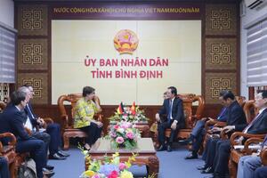 Bình Định đẩy mạnh triển khai dự án điện gió ngoài khơi