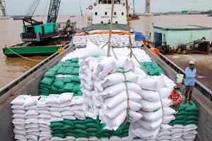 Nhập khẩu gạo của Việt Nam tăng kỷ lục trong 10 tháng năm 2024