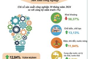 Vĩnh Long: Chỉ số sản xuất công nghiệp 10 tháng tăng 13%, ngành chế biến, chế tạo dẫn dắt