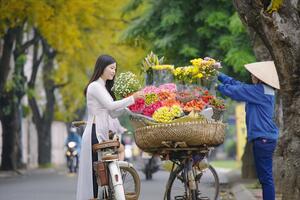 Bắc Bộ ngày nắng, từ Hà Tĩnh đến Quảng Nam mưa lớn