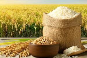 Giá lúa gạo hôm nay ngày 15/11: Gạo thơm chào giá cao, giao dịch lai rai