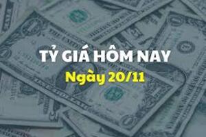 Tỷ giá trung tâm ngày 20/11, giảm 8 đồng