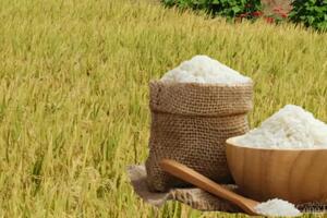 Xây dựng thương hiệu quốc gia cho gạo Việt: Cần sự đồng hành của 3 nhà