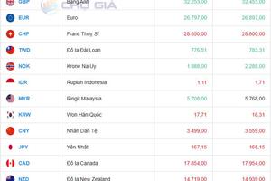 Tỷ giá USD hôm nay 12/12/2024: Chỉ số USD Index (DXY) là 106,68 điểm