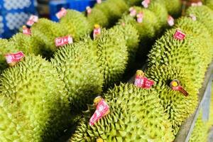 Dự báo nào cho xuất khẩu rau, quả năm 2025?