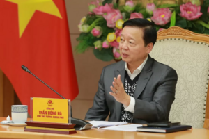 Không để tình trạng chảy máu chất xám, lãng phí người tài
