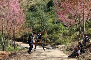 Yên Bái: Sắp diễn ra Festival khèn Mông, Lễ hội hoa Tớ dày tại huyện Mù Cang Chải