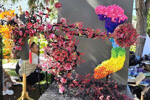 Triển lãm hoa nghệ thuật Việt Nam năm 2024 tại Đà Lạt