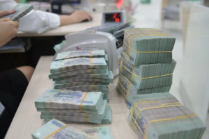 Đắk Nông: Hai công ty nợ tiền tỷ bị cưỡng chế thuế