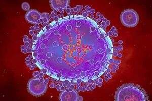 Bộ Y tế thông tin mới nhất về bệnh do virus gây viêm phổi trên người (HMPV) tại Trung Quốc