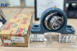 Mua gối đỡ Asahi chính hãng tại PLB Việt Nam