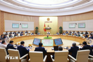 Thông tin mới nhất về tinh gọn bộ máy tổ chức