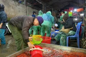 Chợ cá lớn nhất Hà Nội nhộn nhịp ngày ông Công, ông Táo